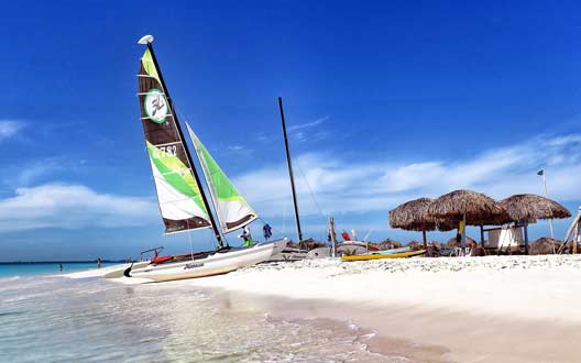 云呼炸仇人软件